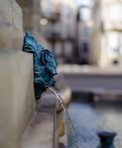 Fontaine des Boucheries Reims