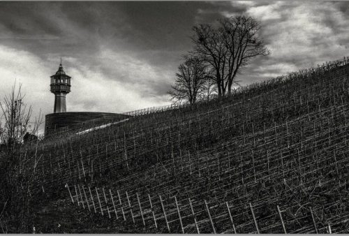 montagne-reims-5